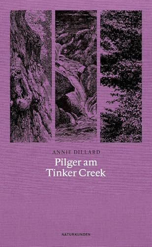 Pilger Am Tinker Creek: 28
