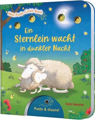 Mein Puste-Licht-Buch: Ein Sternlein Wacht In Dunkler Nacht: Gute-Nacht-Buch Mit Puste-Licht Und Led-Lämpchen: 6