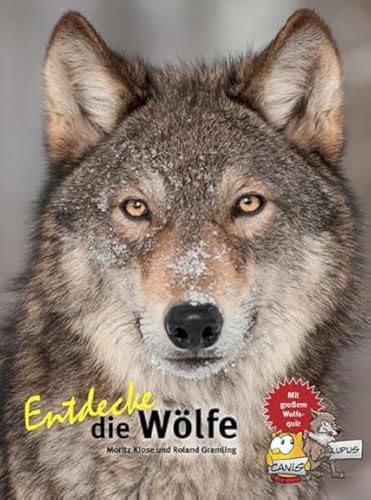 Entdecke Die Wölfe: 32
