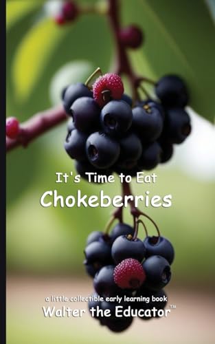 It'S Time To Eat Chokeberries
