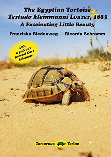 The Egyptian Tortoise, Testudo Kleinmanni Lortet, 1883: A Fascinating Little Beauty