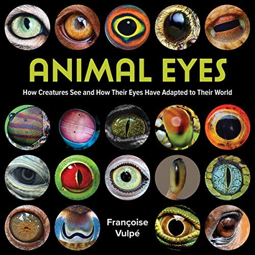 Animal Eyes: How Creatures See And How Their Eyes Have Adapted To Their World