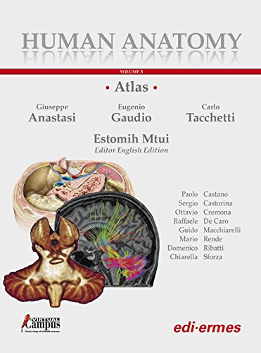 Human Anatomy. Atlas. Con Contenuto Digitale Per Accesso On Line [Lingua Inglese]: Vol. 3