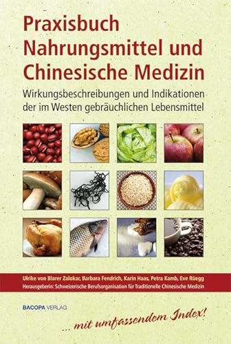 Praxisbuch Nahrungsmittel Und Chinesische Medizin: Wirkungsbeschreibungen Und Indikationen Der Im Westen Gebräuchlichen Lebensmittel