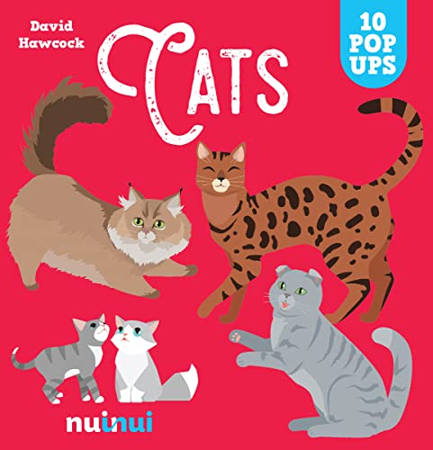 Cats. Ediz. A Colori
