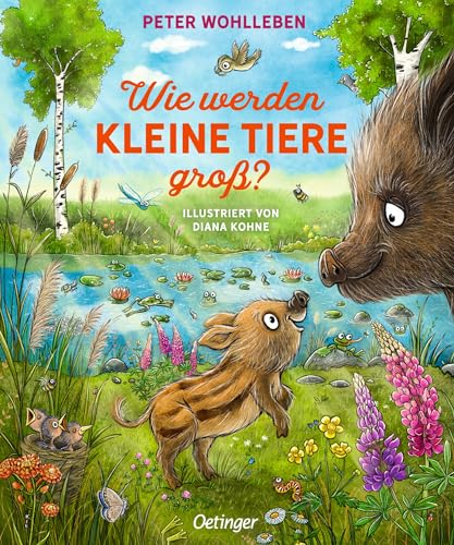 Wie Werden Kleine Tiere Groß?
