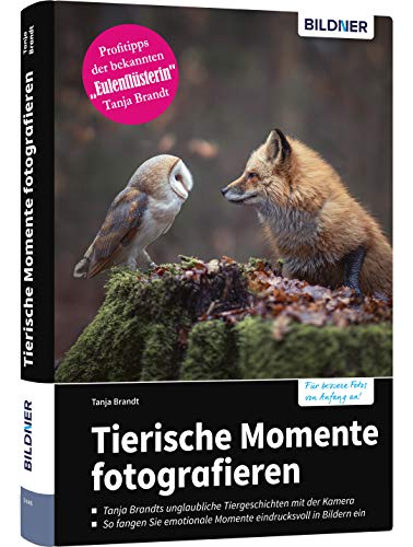 Tierische Momente Fotografieren