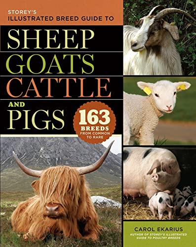Storey'S Illustrated Guide To Sheep, Goats, Cattle And Pigs: 163 Breeds From Common To Rare