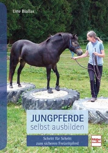 Jungpferde Selbst Ausbilden: Schritt Für Schritt Zum Gelassenen Freizeitpferd