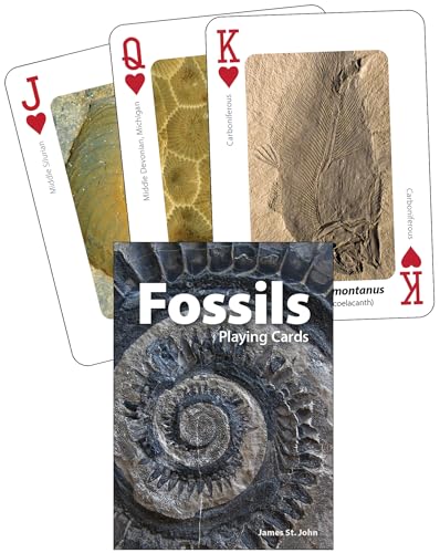 Fossils