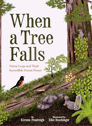 When A Tree Falls: Nurse Logs And Their Incredible Forest Power