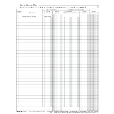 Registro Beni Ammortizzabili - Flex - 310X245 Mm