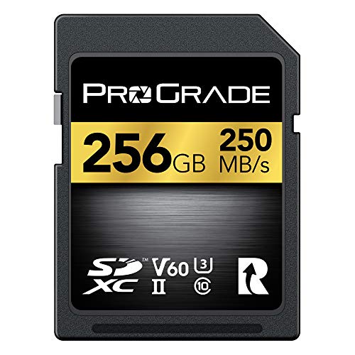 Scheda Sd Uhs-Ii Da 256Gb V60: Velocità Di Scrittura Fino A 130Mb/S E Velocità Di Lettura 250Mb/S | Per Professionisti, Cineasti, Fotografi E Curatori