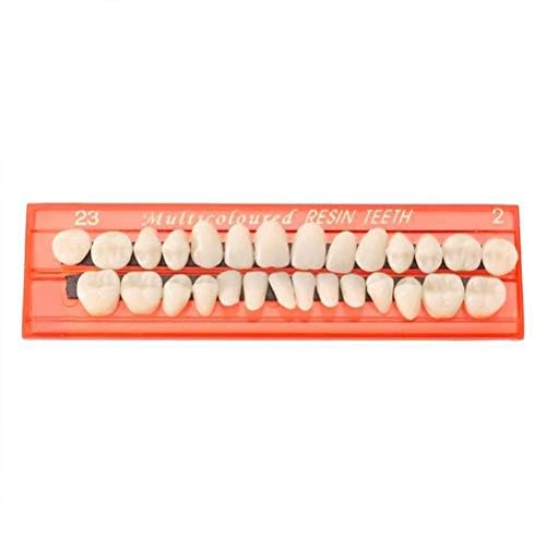 Merkts Protesi Complete,Modelli Di Protesi In Resina Generali,Denti Super Resistenti All'Usura,Protesi Impiallacciate Istantanee Che Coprono I Denti M