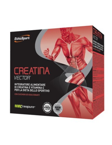 CREATINA VECT20BUST ETICHSPORT