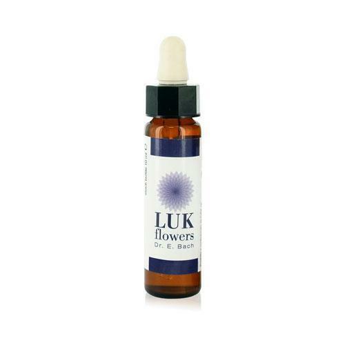 CEMON - 17 - HORNBEAM Luk Flowers - stock bottle 10ml DR. E.BACH