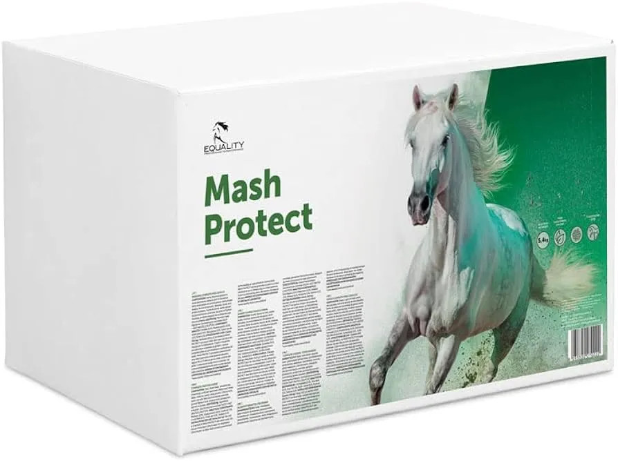 Mash Protect Equality