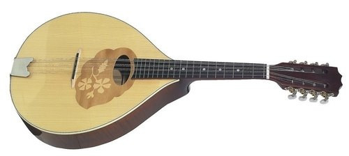 Mandolino - Mandola Pro Arte - Lucido
