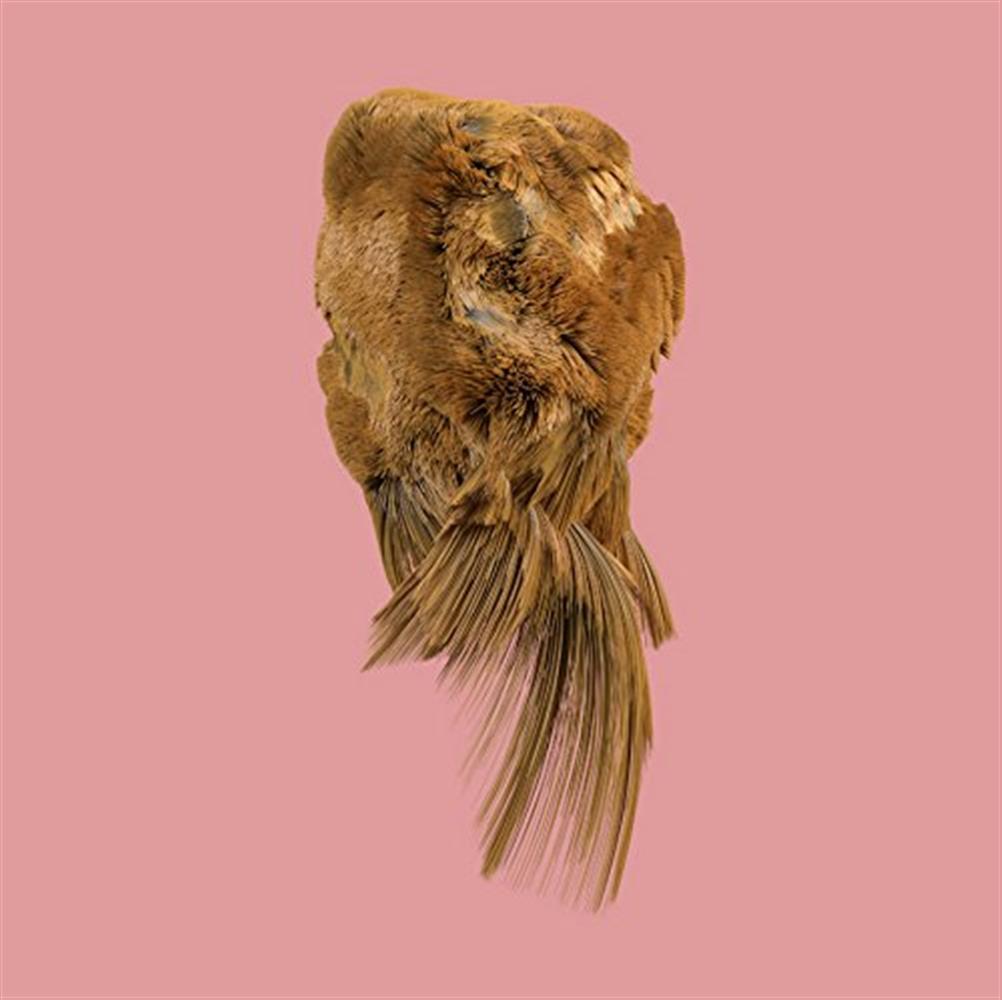 Values - Holy Family (Vinile)