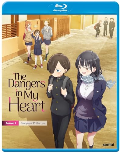 Blu-Ray Dangers In My Heart: Season 1 (2 Blu-Ray) [Edizione: Stati Uniti]