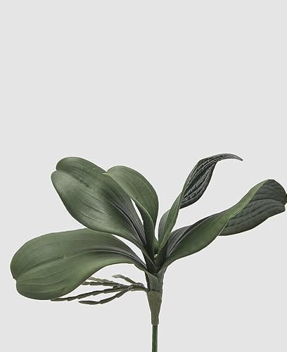 Edg Enzo De Gasperi Enzo De Gasperi Orchidea Phalaenopsis Foglia X5 Artificiale H 27 Cm Green