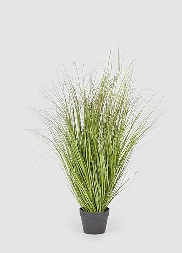 Edg Enzo De Gasperi Enzo De Gasperi Festuca Con Vaso Artificiale H 122 Cm Green Pink