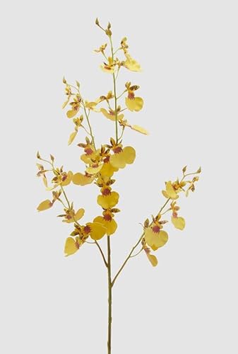 Edg Enzo De Gasperi Enzo De Gasperi Orchidea Oncidium Ramo X4 Artificiale H 80 Cm Yellow