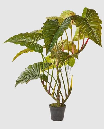 Edg Enzo De Gasperi Enzo De Gasperi Alocasia Pianta Con Vaso Artificiale H 177 Cm Green