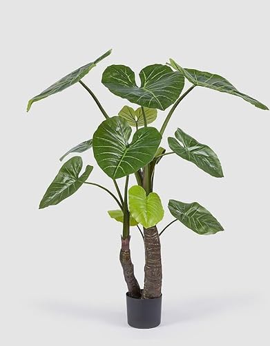 Edg Enzo De Gasperi Enzo De Gasperi Alocasia Con Vaso Artificiale H 180 Cm Green