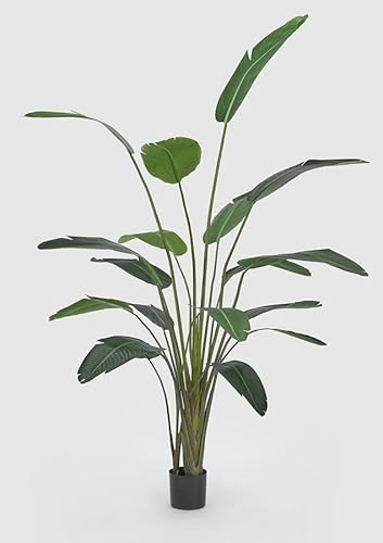 Edg Enzo De Gasperi Enzo De Gasperi Strelitzia Chic Con Vaso Artificiale H 245 Cm Green