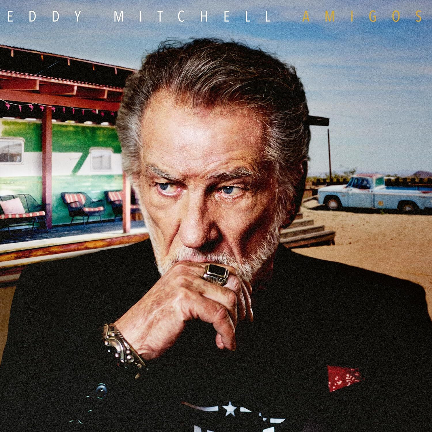 Eddy Mitchell Amigos (Vinyl LP) 12" Album (Limited Edition)