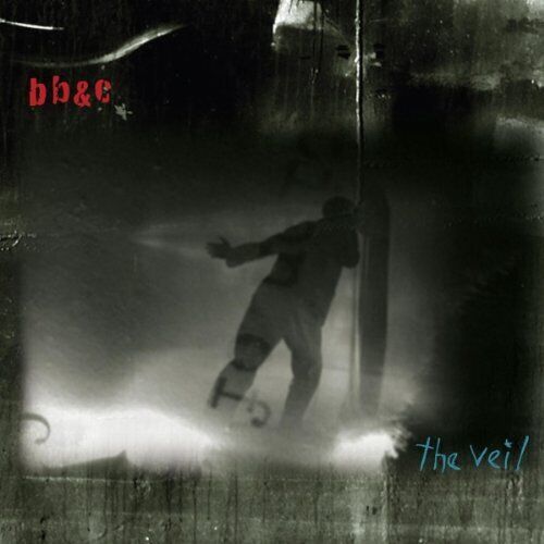 Nels Cline, Tim Berne, Jim Black - The Veil