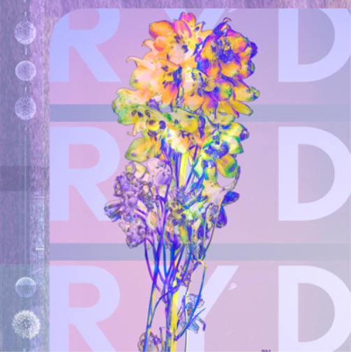 RYD RYD (Vinyl LP) 12" Album