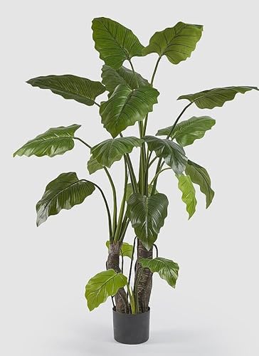 Edg Enzo De Gasperi Enzo De Gasperi Alocasia Con Vaso Artificiale H 180 Cm Green
