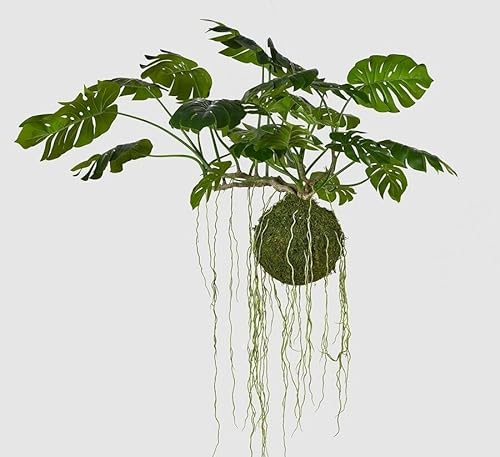 Edg Enzo De Gasperi Enzo De Gasperi Monstera Bell Pianta Da Appendere Artificiale H 80 Cm L 140 Cm Green