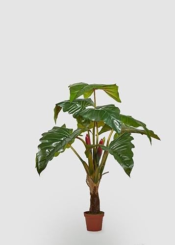 Edg Enzo De Gasperi Enzo De Gasperi Alocasia Chic Con Vaso Artificiale H 160 Cm Green