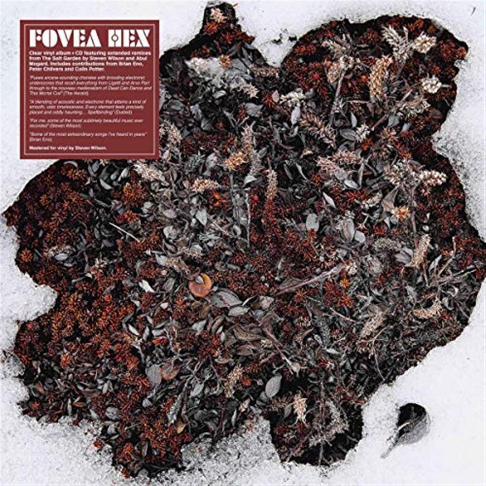 Salt Garden (Clear Vinyl) - Fovea Hex (Vinile)