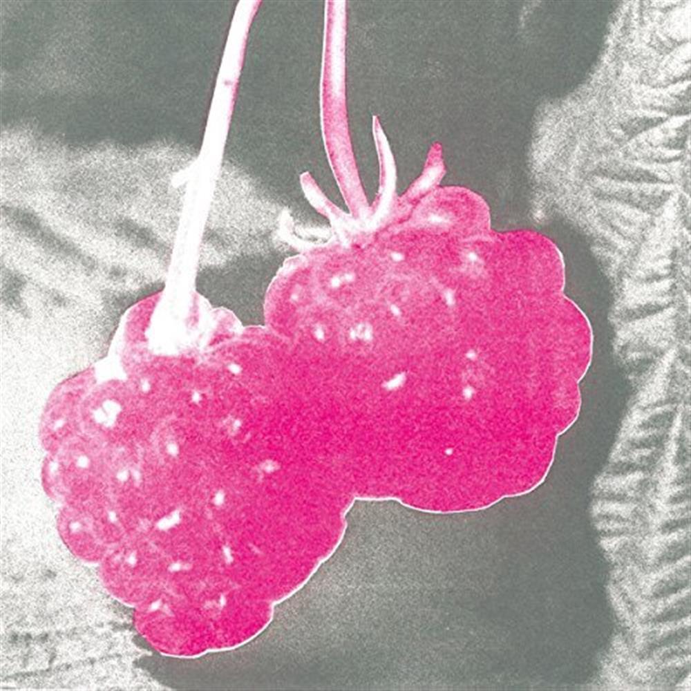 Welcome - F.S. Blumm (Vinile)