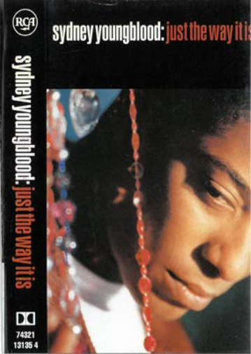 Just the way it is 8versione adio cassetta) (Cassette)