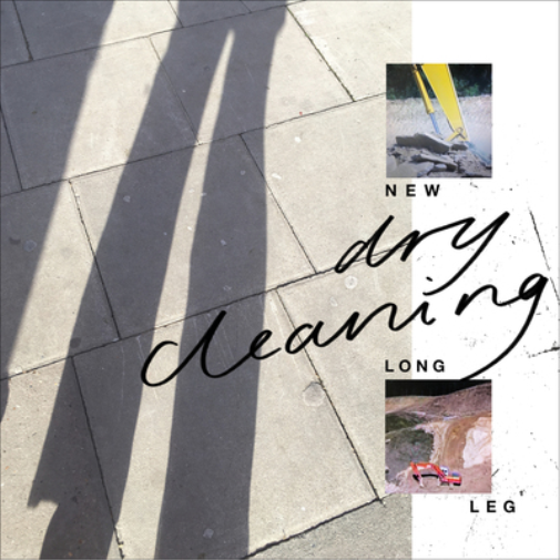 Dry Cleaning New Long Leg (Vinyl LP) 12" Album