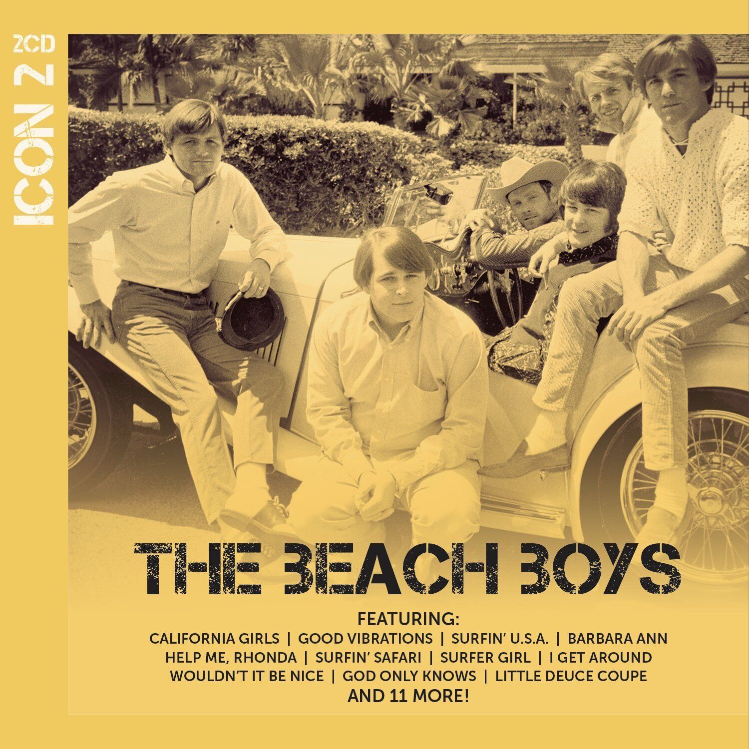 The Beach Boys Icon (CD)