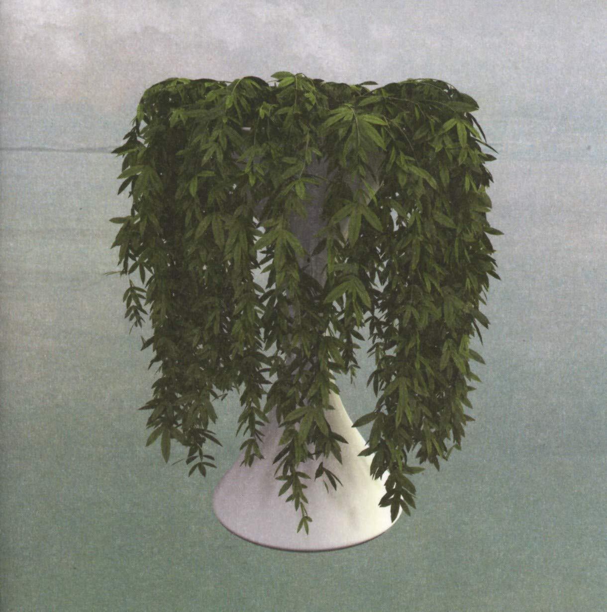 Errors Lease of Life CD NEW