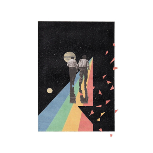 The Orange Peels Celebrate the Moments of Your Life (Vinyl LP) 12" Album