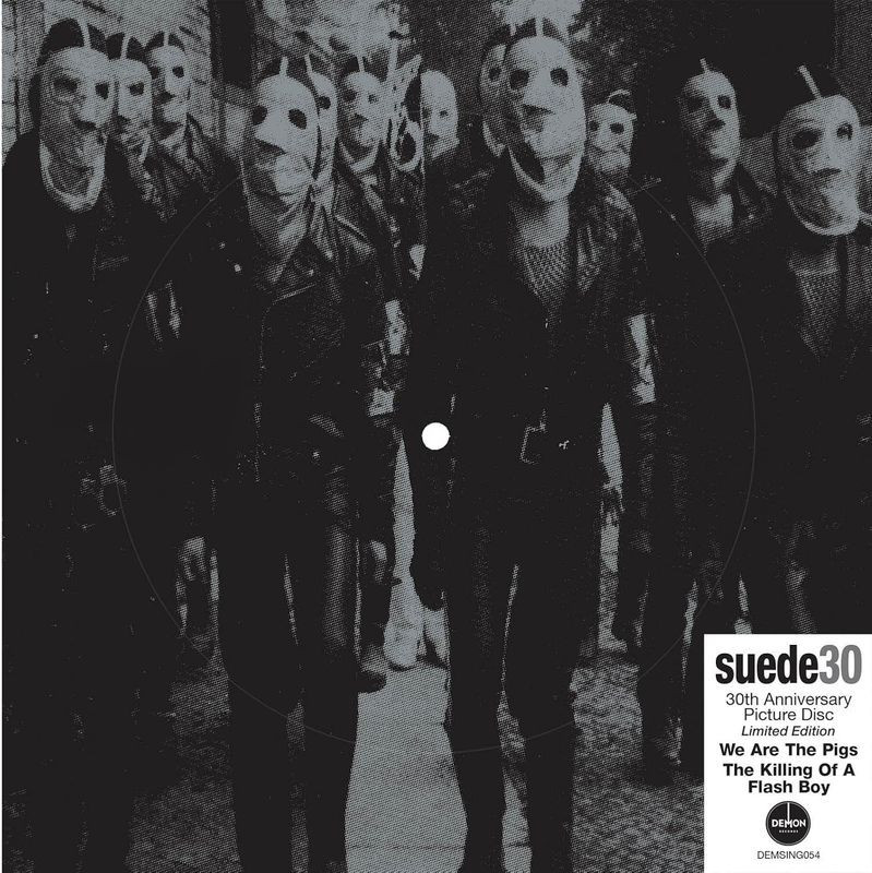 Suede - We Are The Pigs 30th Anniversary Edition (7 Picture Disc) - Vinile