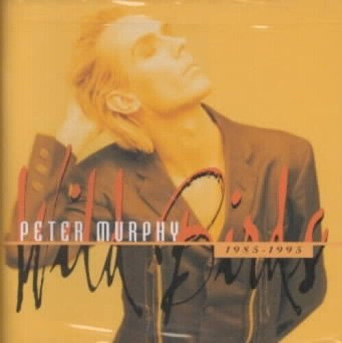 Wild Birds 1985-1995: Best Of Beggars Banquet Years by MURPHY,PETER