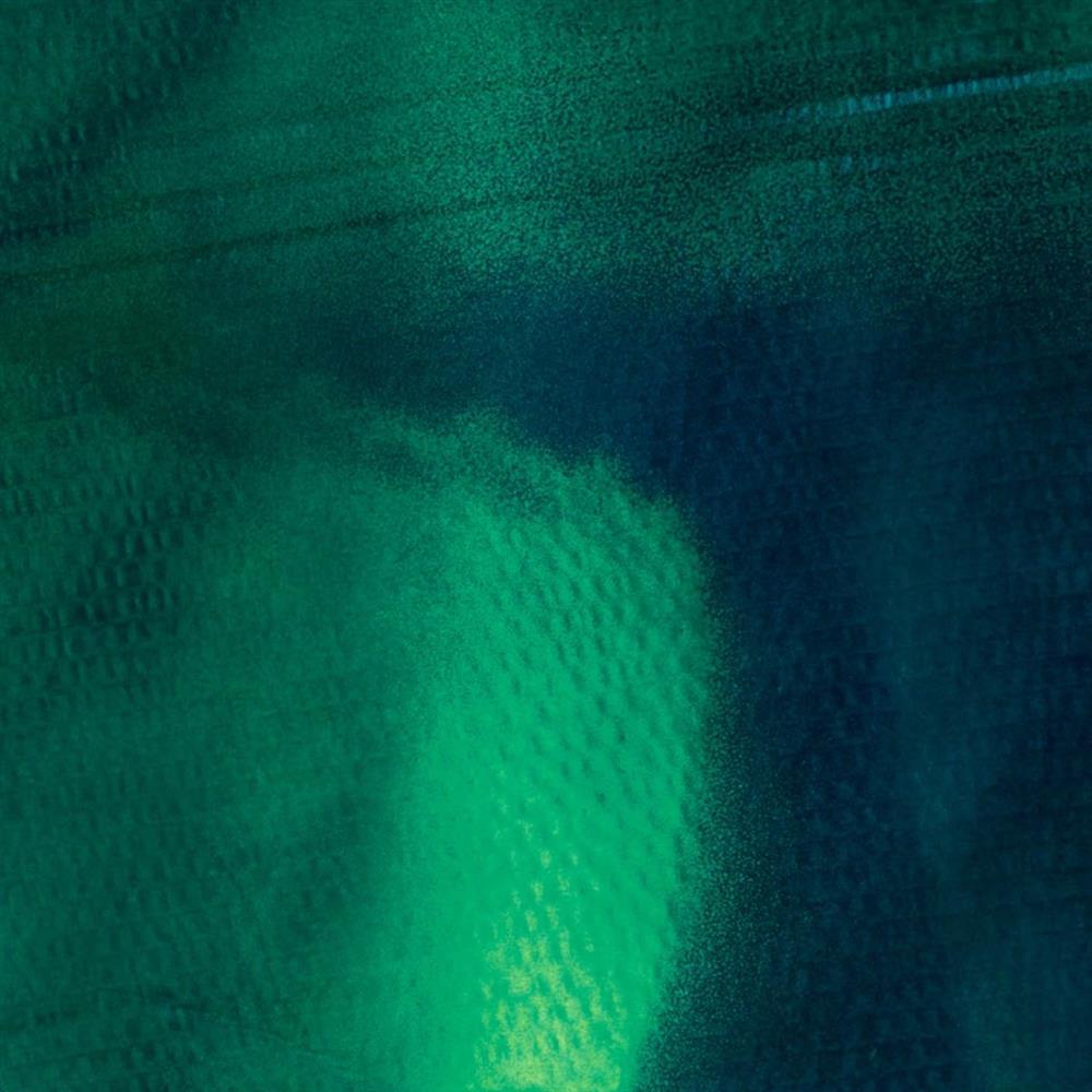 Tiergarten - Grosse Katharina & Stefan Schn (Vinile)