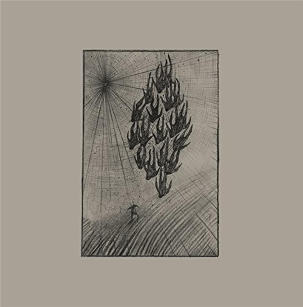 Aine O'Dwyer - Locusts - AA.VV. (Vinile)