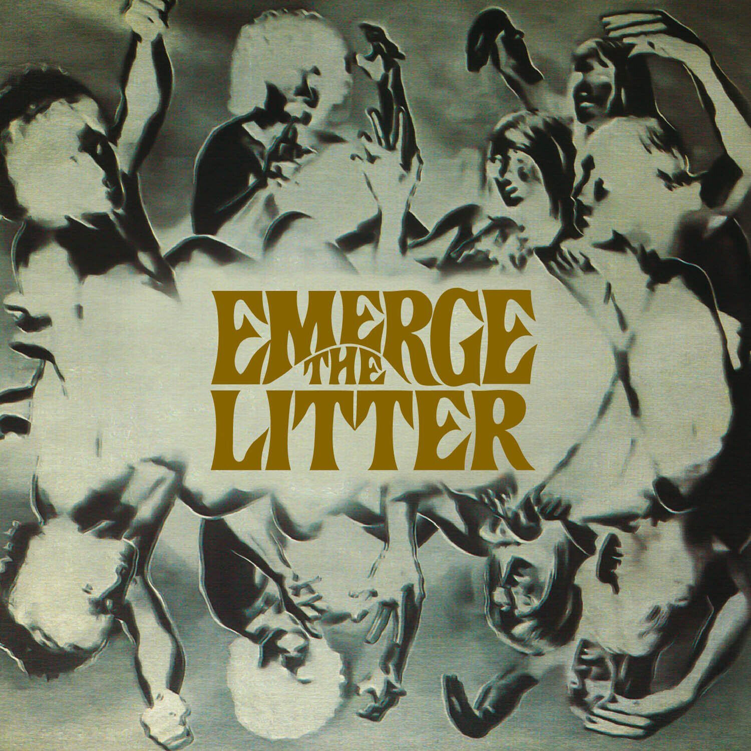The Litter Emerge (CD) Album