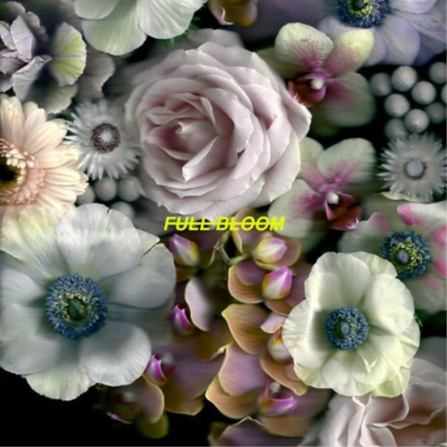 Alpines Full Bloom (Vinyl LP) 12" Album