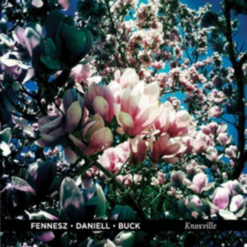 Fennesz/Deniell/Buck Knoxville (Vinyl LP) 12" Album